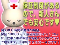 ナースDEどかぁ～ん_画像02