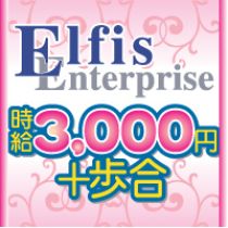 elfis enterprise_画像01