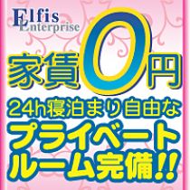 elfis enterprise_画像02
