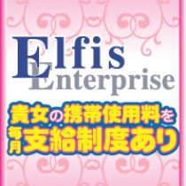elfis enterprise_画像03