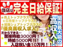 とらのあな堺店_画像03