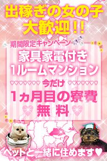 アストラッチャグループ_画像02