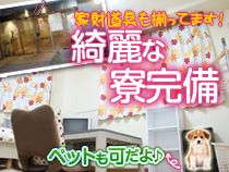 秋葉原コスプレ学園_画像02