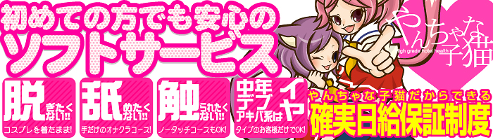 やんちゃな子猫