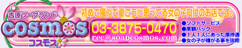 コスモス
