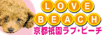 ラブ・ビーチ