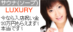 LUXURY