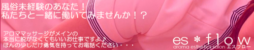 es＊f l o w（エス＊フロー）