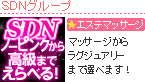 SDNグループ