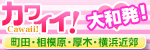 大和発！カワイイ
