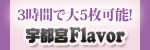 宇都宮フレイバー