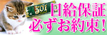 大阪ホテヘル難波５０１
