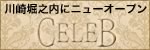 Celeb 〜セレブ〜