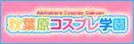 秋葉原コスプレ学園