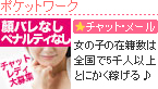 ポケットワーク