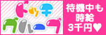 ドッチグループ