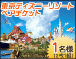 ディズニーリゾートペアチケット