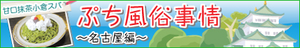 ぷち風俗事情~名古屋偏~