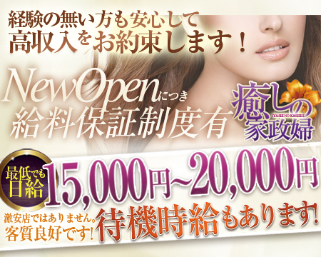 癒しの家政婦