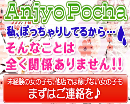 愛知三河安城岡崎ちゃんこ