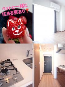 ブログ記事の画像