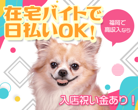 チワワ博多店・博多の求人