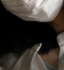 MuseLiveで働く女の子からのメッセージ-M(28)