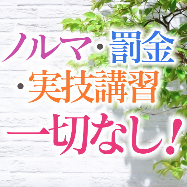 横浜市/関内/曙町・横浜熟女MAXの求人用画像_01