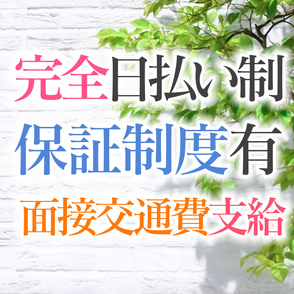 横浜市/関内/曙町・横浜熟女MAXの求人用画像_02