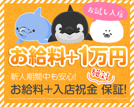 マリンサプライズ・品川/五反田/目黒の求人