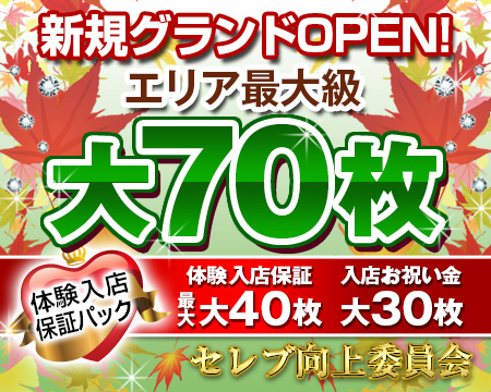 横浜市/関内/曙町・セレブ向上委員会