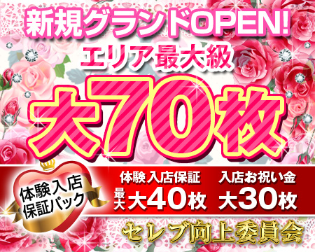 セレブ向上委員会・横浜市/関内/曙町の求人