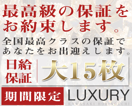 川崎市/堀之内/南町・ラグジュアリー