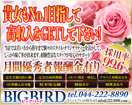 ビッグバード・川崎市/堀之内/南町の求人