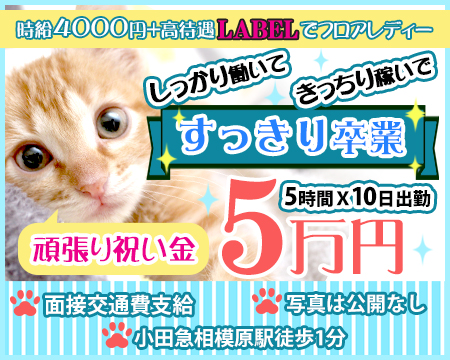 LABEL・相模原市の求人