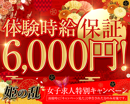 姫の乱・祇園の求人