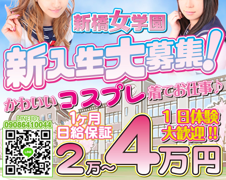 新橋/浜松町/田町…・新橋女学園