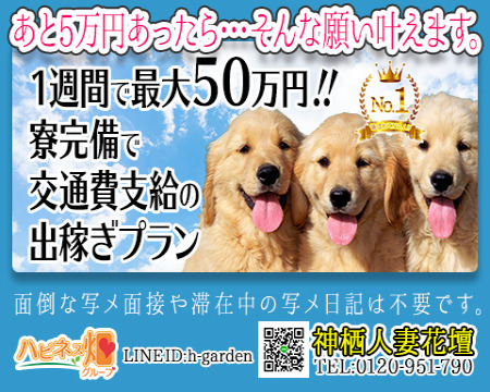 神栖人妻花壇・神栖市の求人