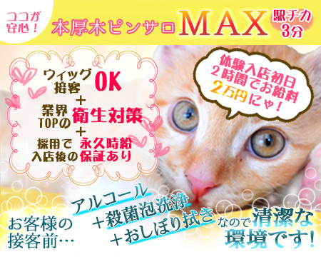 MAX・厚木市の求人