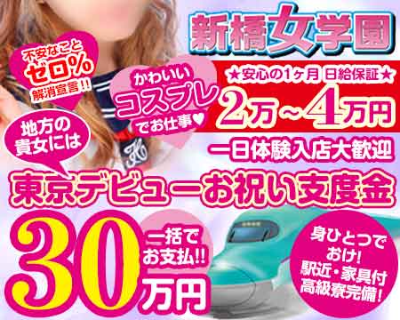 新橋女学園・新橋/浜松町/田町…の求人