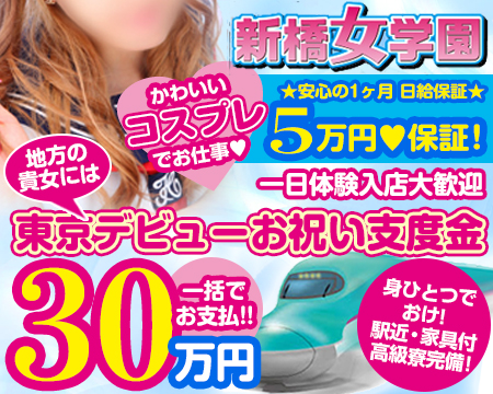 新橋女学園・新橋/浜松町/田町…の求人