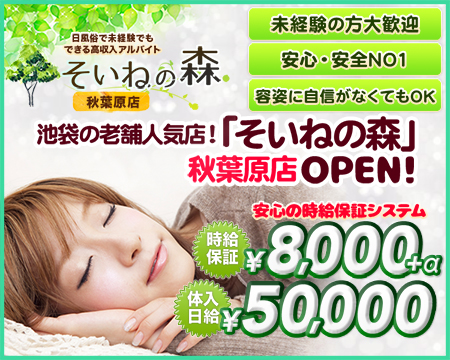 そいねの森 秋葉原店・秋葉原/神田/大手町の求人
