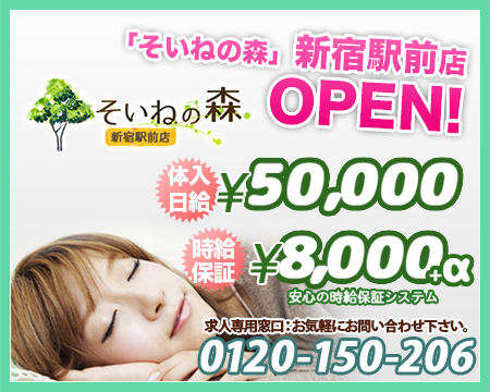 そいねの森 新宿駅前店・新宿/歌舞伎町の求人
