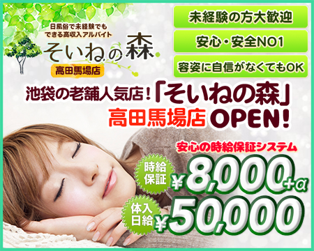 そいねの森 高田馬場店・高田馬場/大久保…の求人