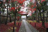 京都寺写真<br />