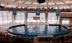 茨城県・アクアワールド茨城県大洗水族館