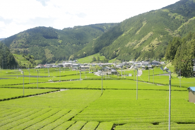 静岡県はこんな人におすすめ！