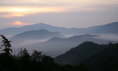 香川から選ぶ