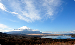 山梨から選ぶ