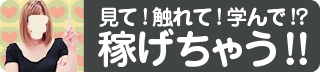 とらのあな(日本橋) 見て！触れて！学んで！？稼げちゃう！！